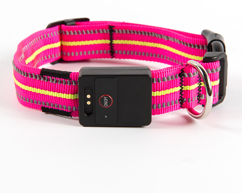The Night Beacon — LED Dog Collar