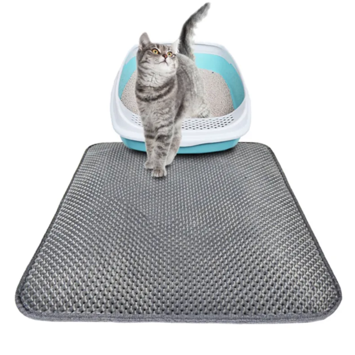 The Clean Sweep — Litter-Trapping Cat Mat