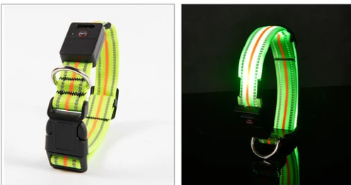 The Night Beacon — LED Dog Collar