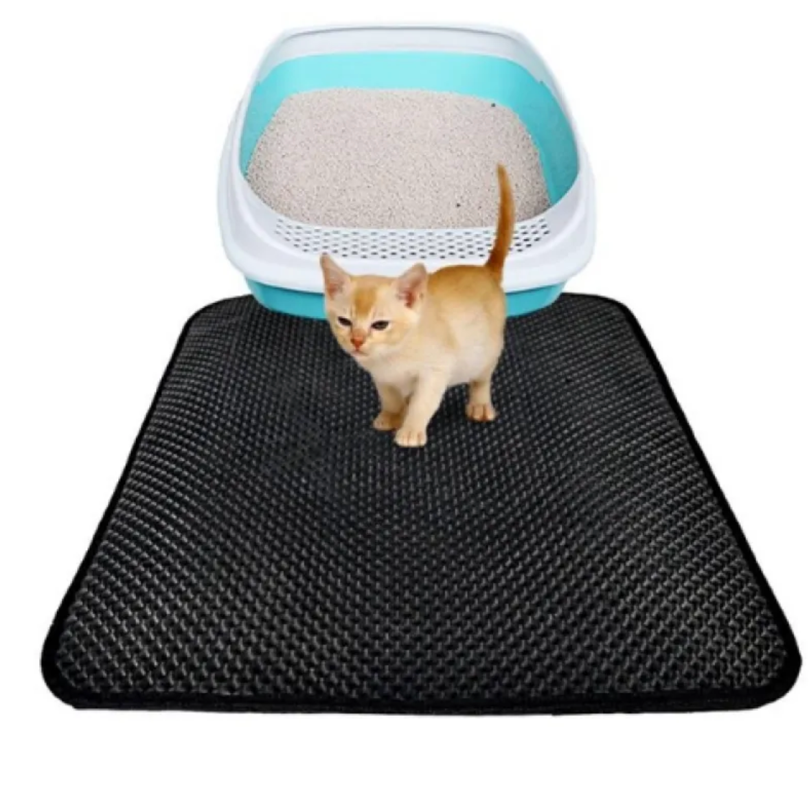 The Clean Sweep — Litter-Trapping Cat Mat