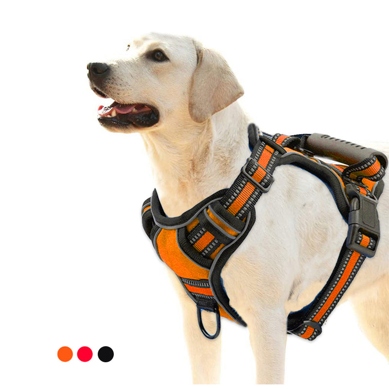 The Easy Walker — No-Pull Dog Harness