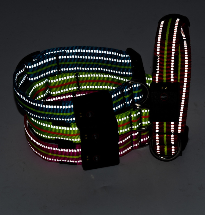The Night Beacon — LED Dog Collar