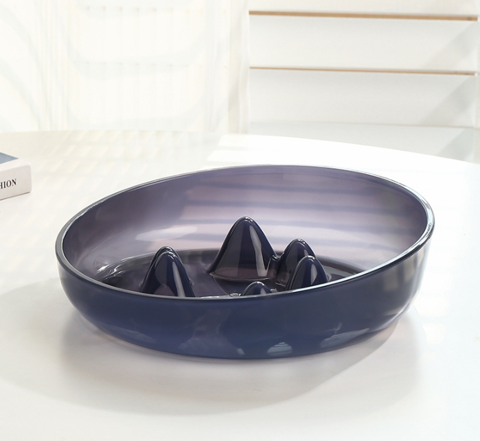 The Slow Down — Slow Feeder Pet Bowl