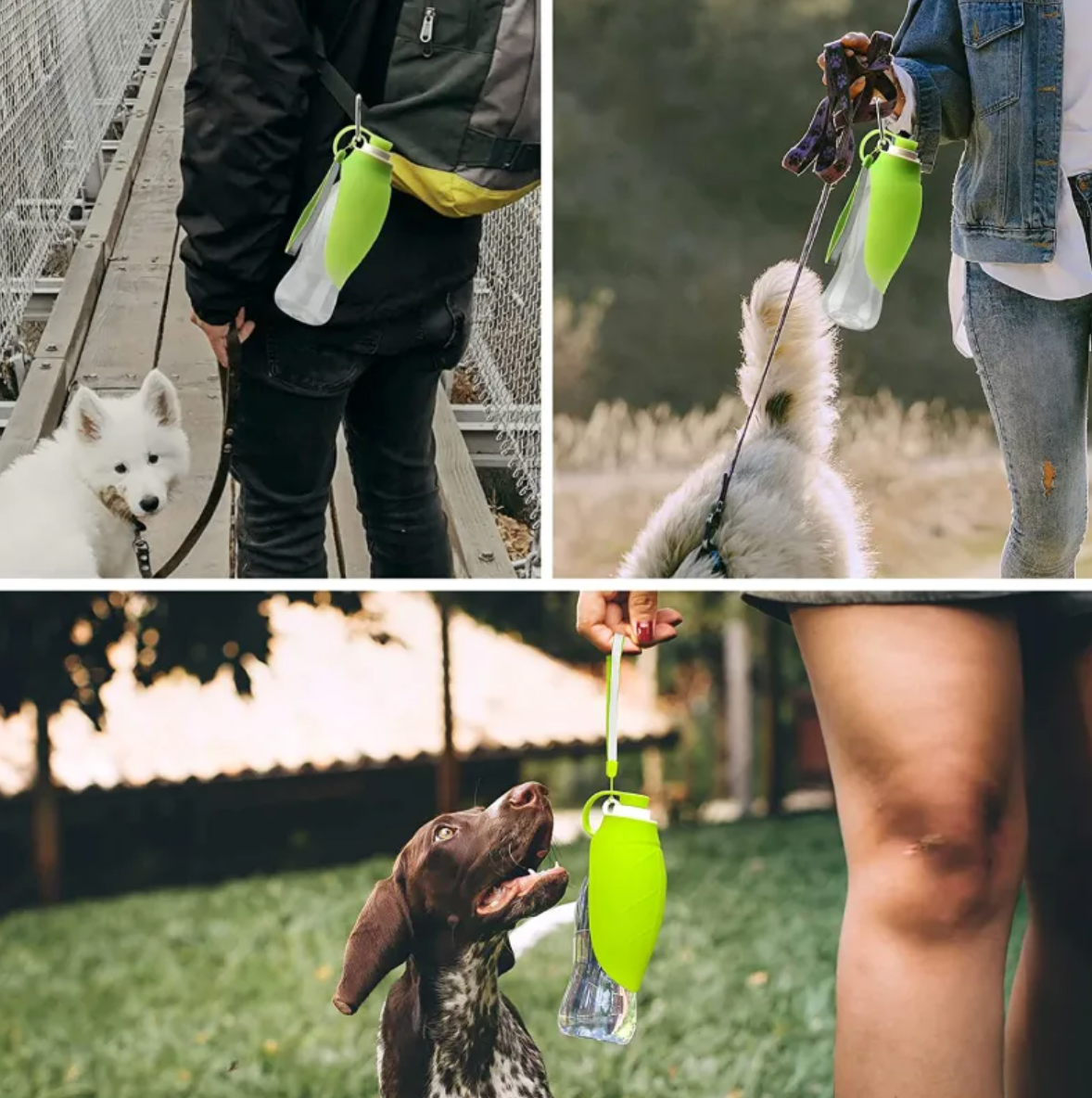 The Trail Sip — Portable Dog Water Bottle