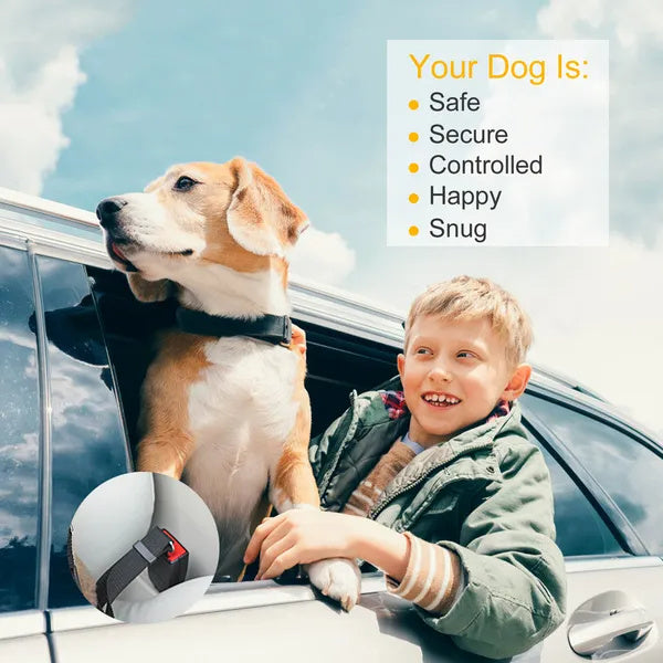 The Co-Pilot — Dog Car Seat Belt (2-Pack)