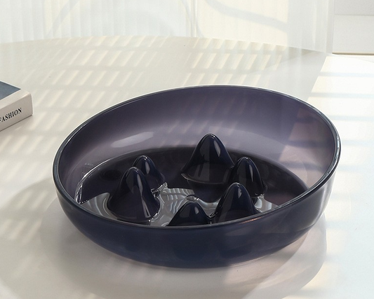 The Slow Down — Slow Feeder Pet Bowl