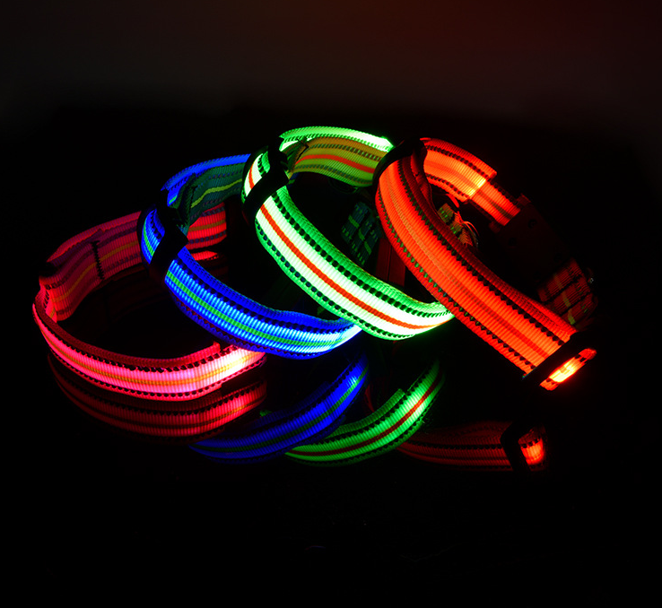 The Night Beacon — LED Dog Collar