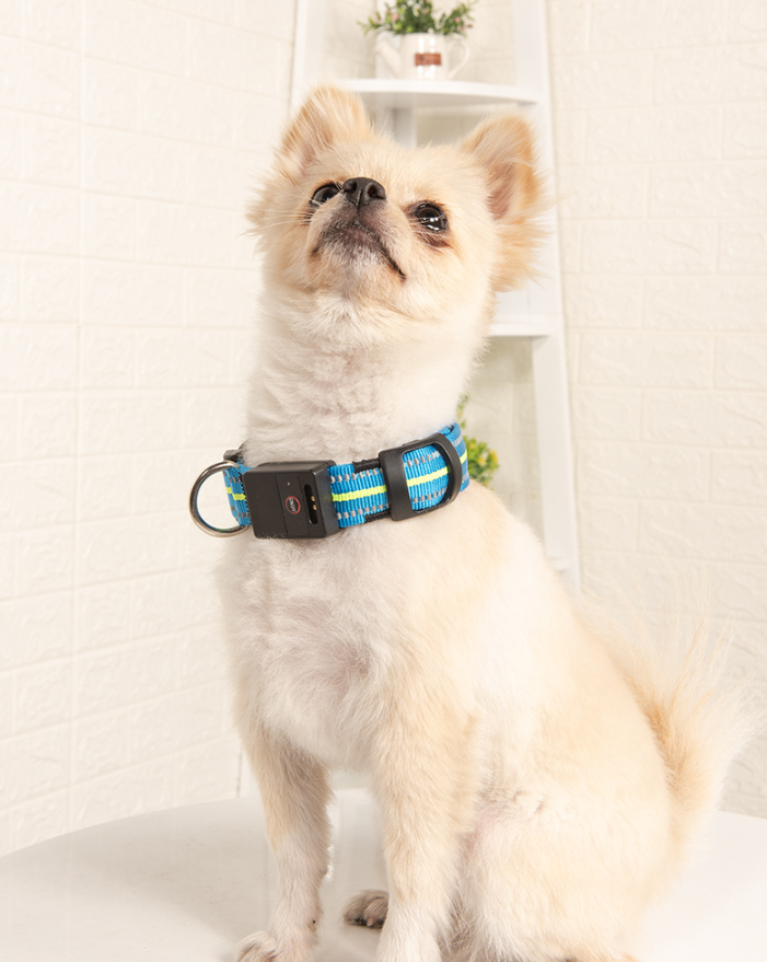 The Night Beacon — LED Dog Collar