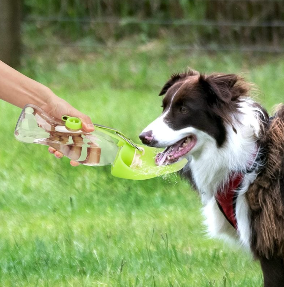 The Trail Sip — Portable Dog Water Bottle